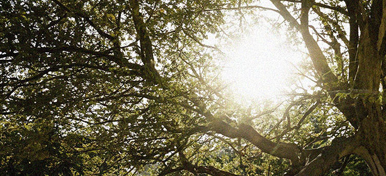 コーポレートサイト制作