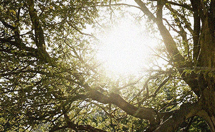 コーポレートサイト制作